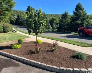 Front Yard Landscape Renovation in Berlin CT