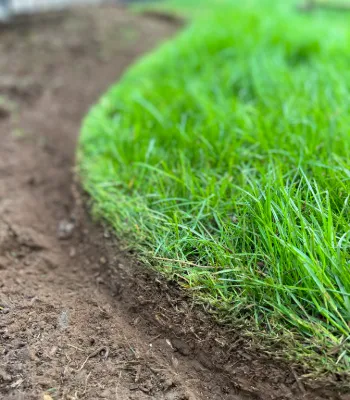 Edging Beds Before Mulch Installation